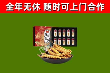 孝南区回收冬虫夏草价格