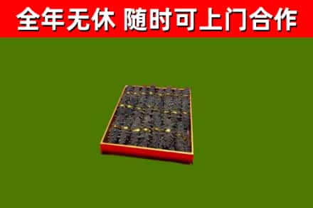 孝南区回收海参